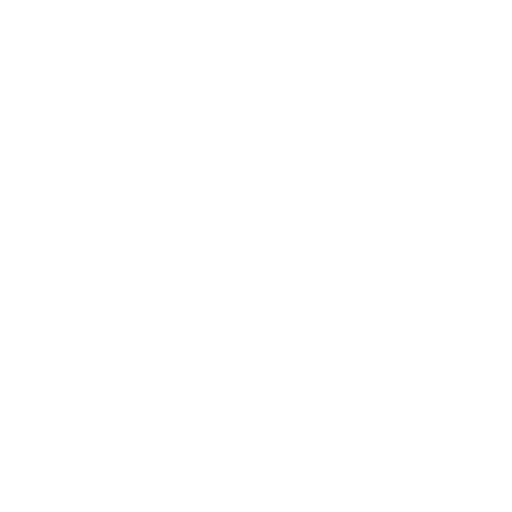 Servicio Topografia